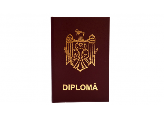 Invelitori pentru acte Diploma 683684