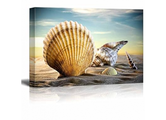 Tablou cu DIAMANTE 30x40 Scoica pe malul marii (fara sasiu) GLD62857