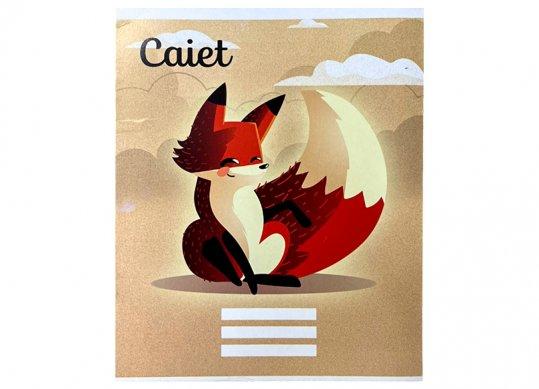 Caiet 12foi carton Linie C001305