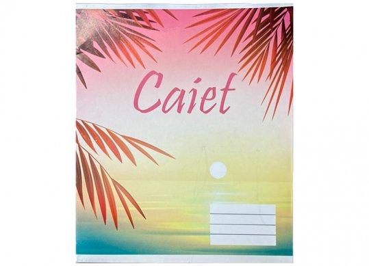 Caiet 12foi carton linie ingusta C002517