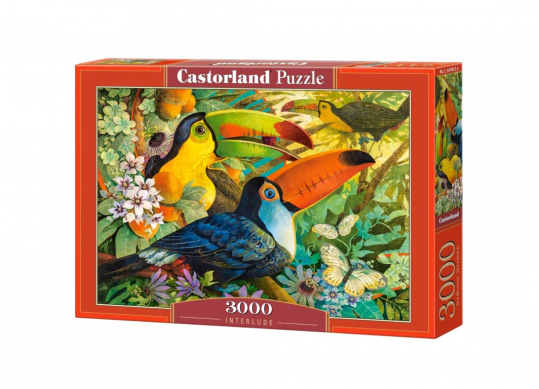 Puzzle 3000 buc C300242