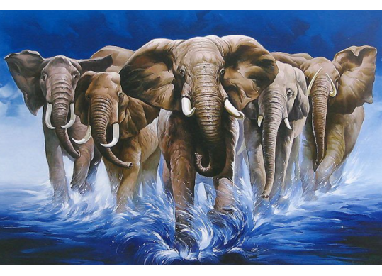Tablou cu DIAMANTE 30x40 Elefanti în apa (fara sasiu) GLD62724