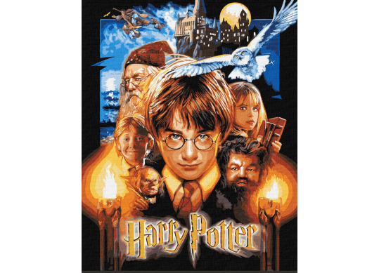 Tablou 40*50/cifre Harry Potter(culori metalice) KHO8716