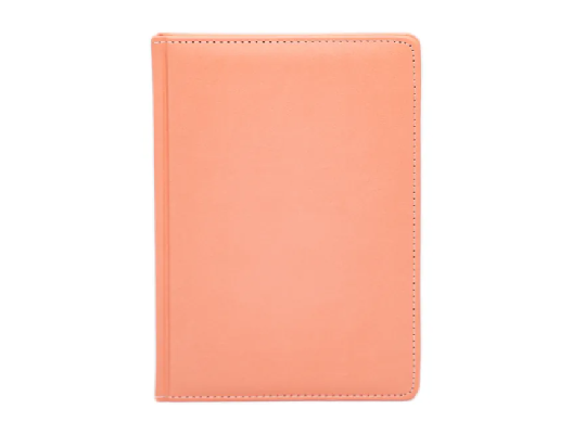 Agenda 2025 A5 IDEE Standart (Aesthetic Coral) ID1501