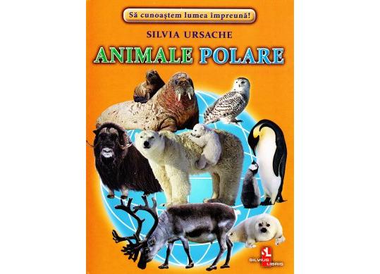 Fisa Animale polare 126243