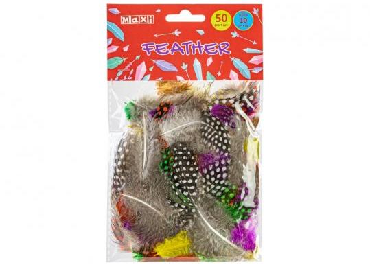 Pene color pestritate Maxi 10cm, 50 buc MX62621