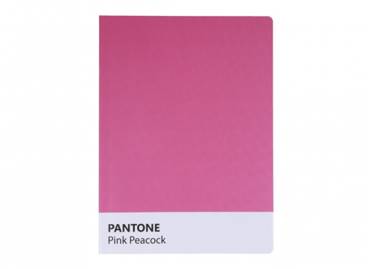 Carnet A5 80foi Pantone (coperta moale) O20371-08