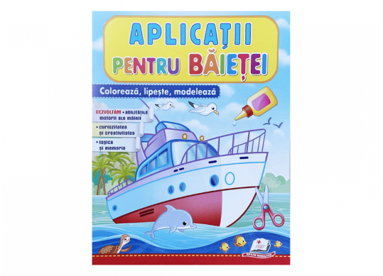 Carte Aplicatii A4 Pentru Baieti CN665626